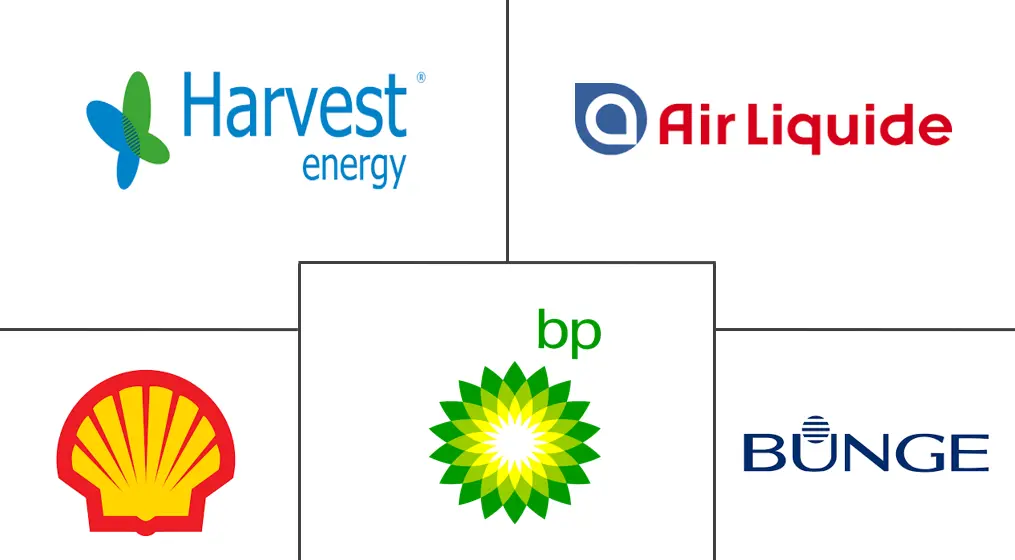 Основные игроки европейского рынка биодизеля