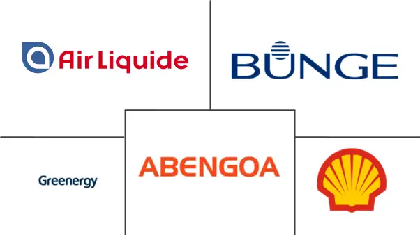 Europe Bioenergy Market Major Players