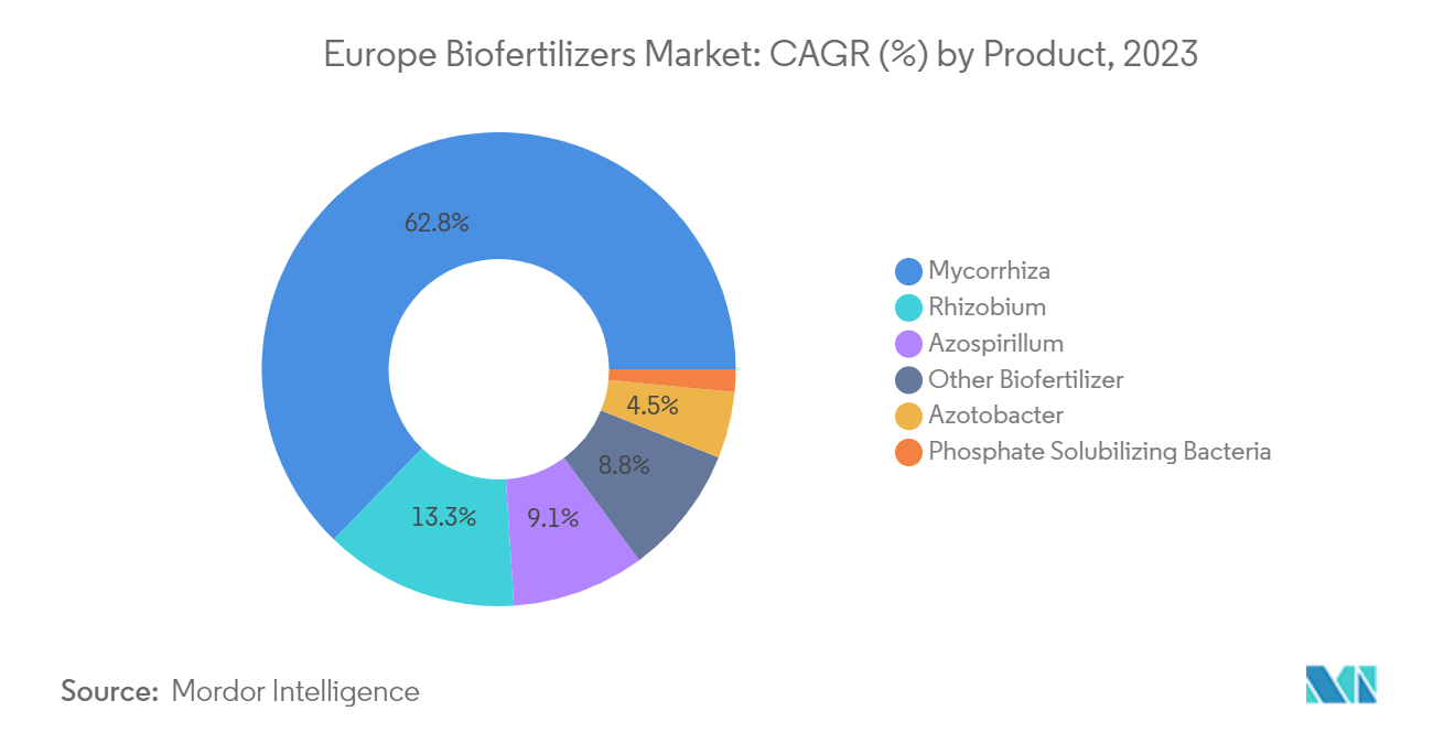 Europe Biofertilizers Market: CAGR (%) by Product, 2023