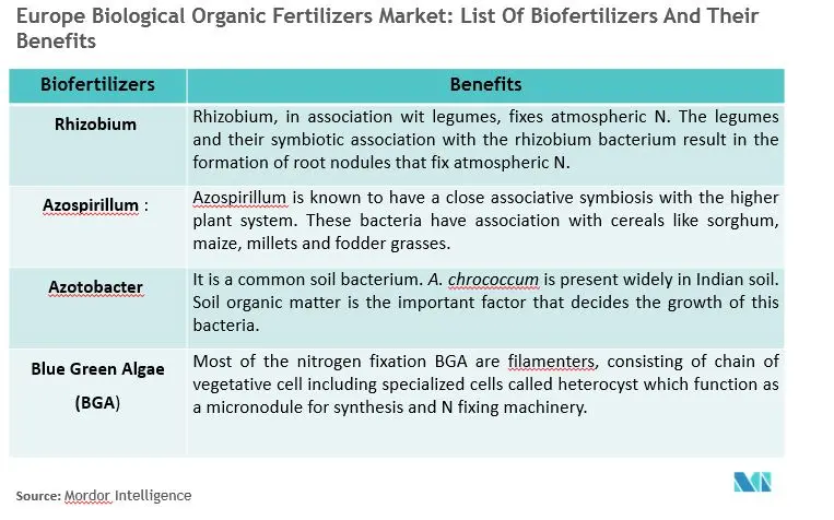 Principais tendências do mercado de fertilizantes orgânicos biológicos da Europa