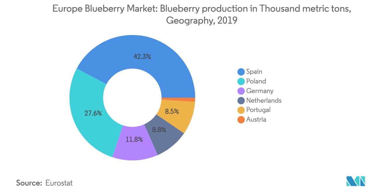 blueberry production in Europe