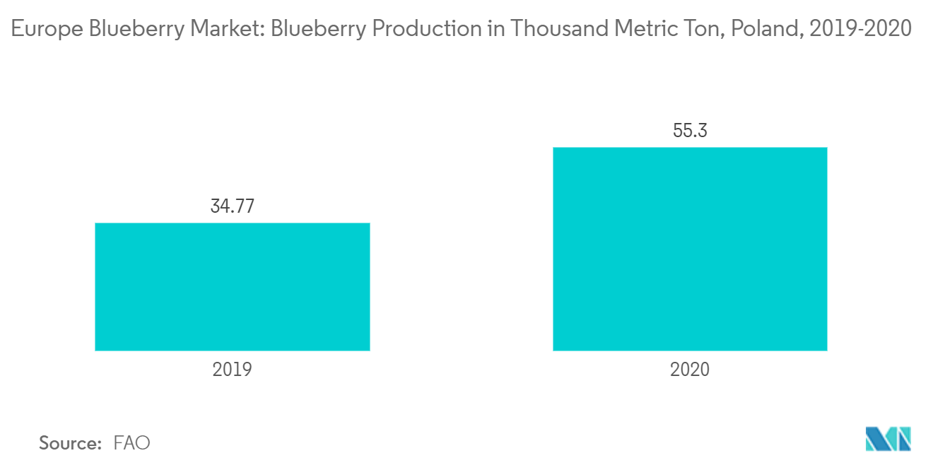 ヨーロッパのブルーベリー市場ブルーベリー生産量（千トン）（ポーランド）：2019-2020年