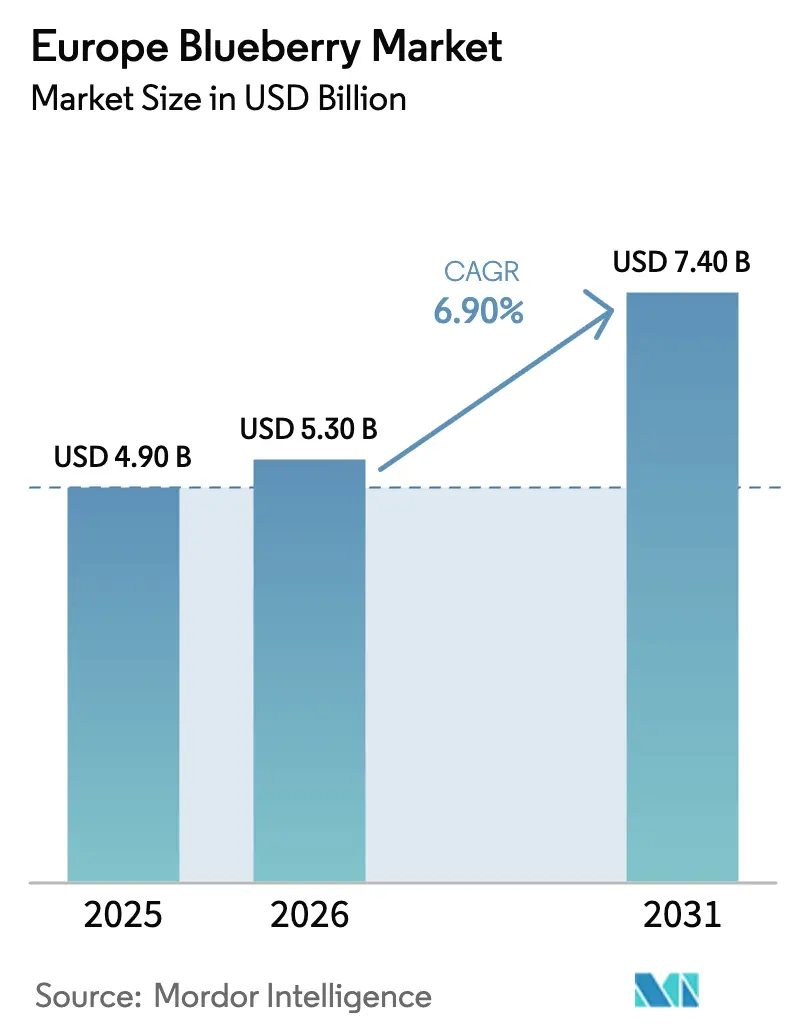Europe Blueberry Market (2026 - 2031)