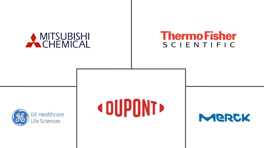 Principales actores del mercado europeo de resinas de cromatografía