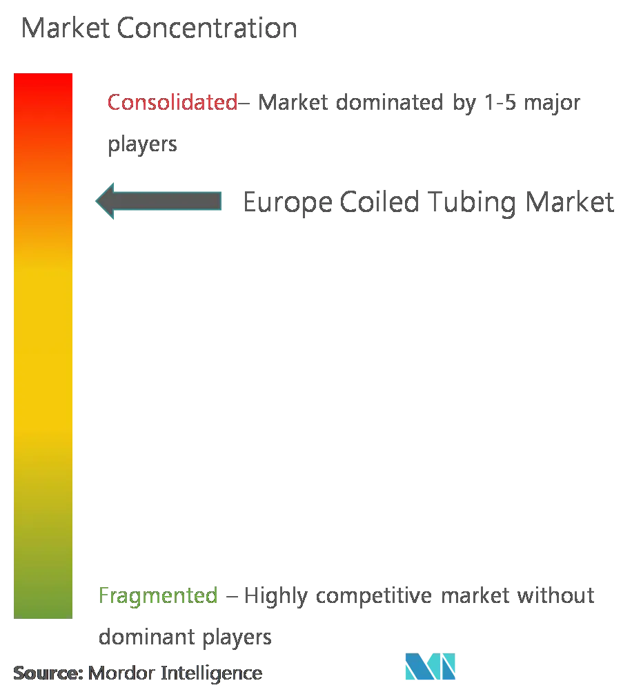 欧州のコイルドチュービング市場集中度