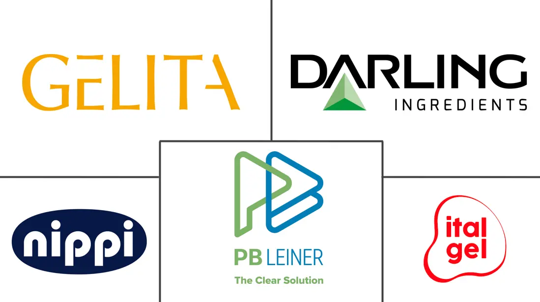 Major players in Europe Collagen industry