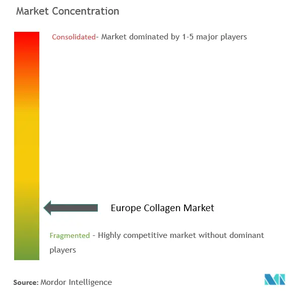 Concentration du marché européen du collagène