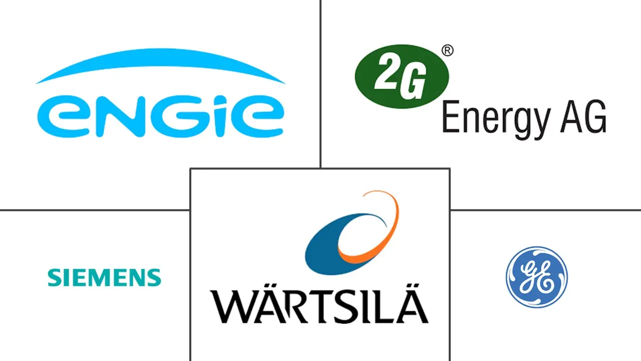 Major players in Europe Combined Heat And Power (CHP) industry