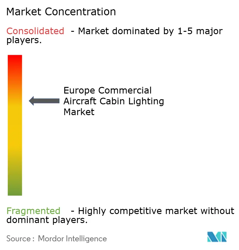 Europe Commercial Aircraft Cabin Lighting Market Concentration