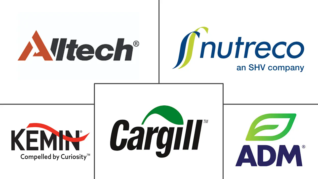 Major players in Europe Compound Feed industry