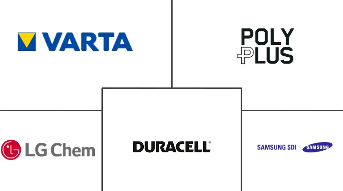  Marché européen des batteries grand public Major Players