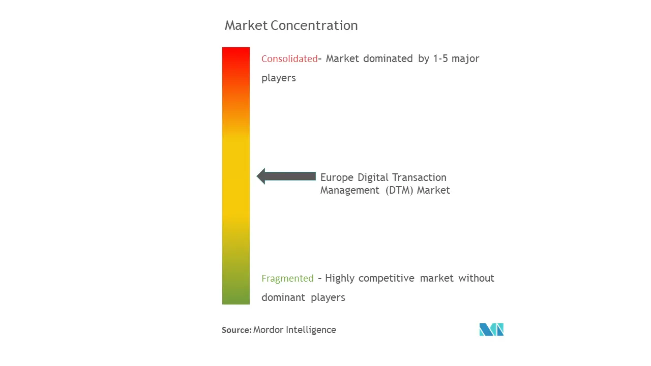 Gestión de transacciones digitales en Europa (DTM)Concentración del Mercado