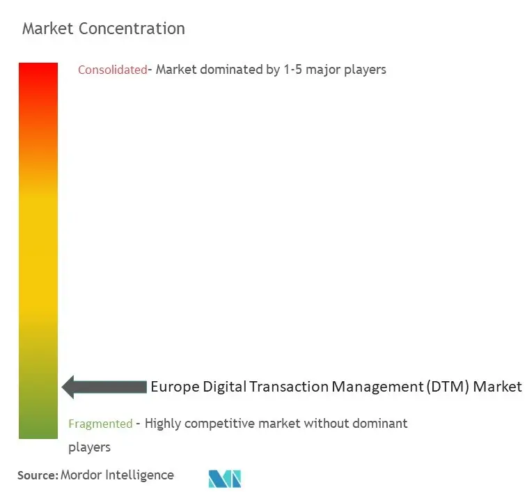 Europe Digital Transaction Management (DTM) Market Concentration