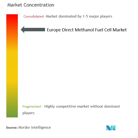 欧州ダイレクト・メタノール型燃料電池市場集中度