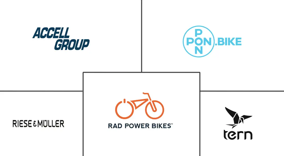 Major players in Europe E-Cargo Bike industry