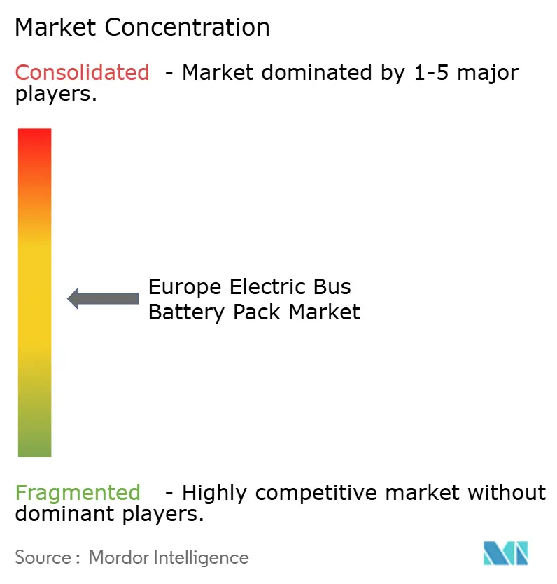 Europe Electric Bus Battery Pack Market Concentration