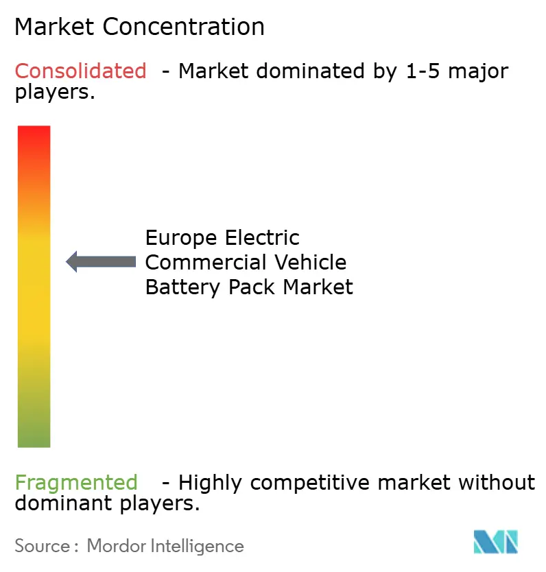 Europe Electric Commercial Vehicle Battery Pack Market Concentration