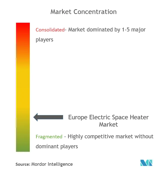 Europe Electric Space Heaters Market Concentration