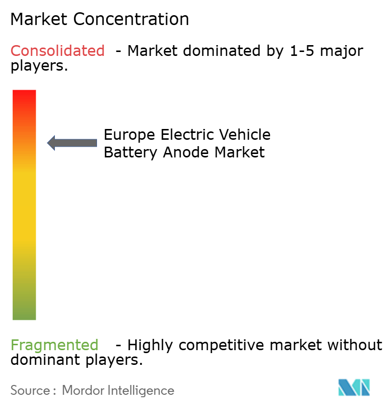 Europe Electric Vehicle Battery Anode Market Concentration