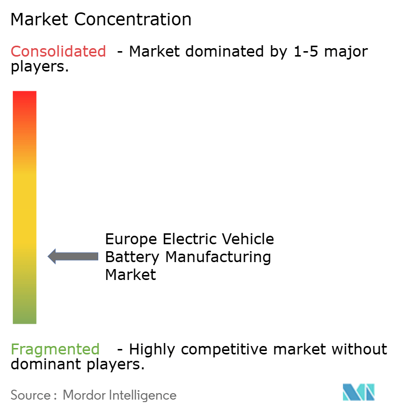 Europe Electric Vehicle Battery Manufacturing Market Concentration