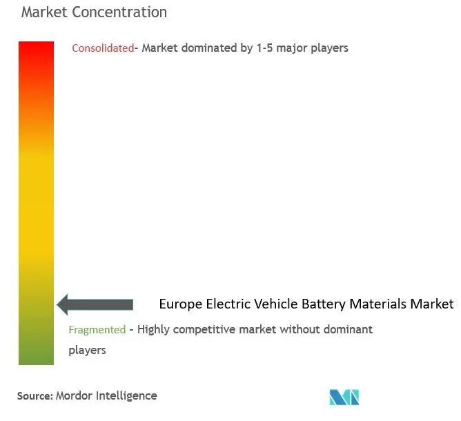 Europe Electric Vehicle Battery Materials Market Concentration