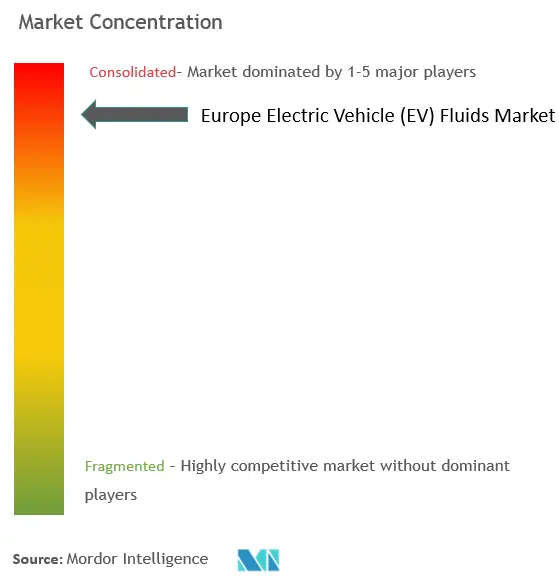 ヨーロッパの電気自動車 (EV) 用液体市場集中度