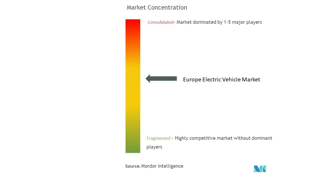 Europe Electric Vehicle Market Concentration