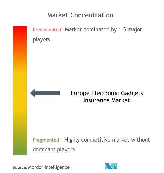 Europe Electronic Gadgets Insurance Market Concentration