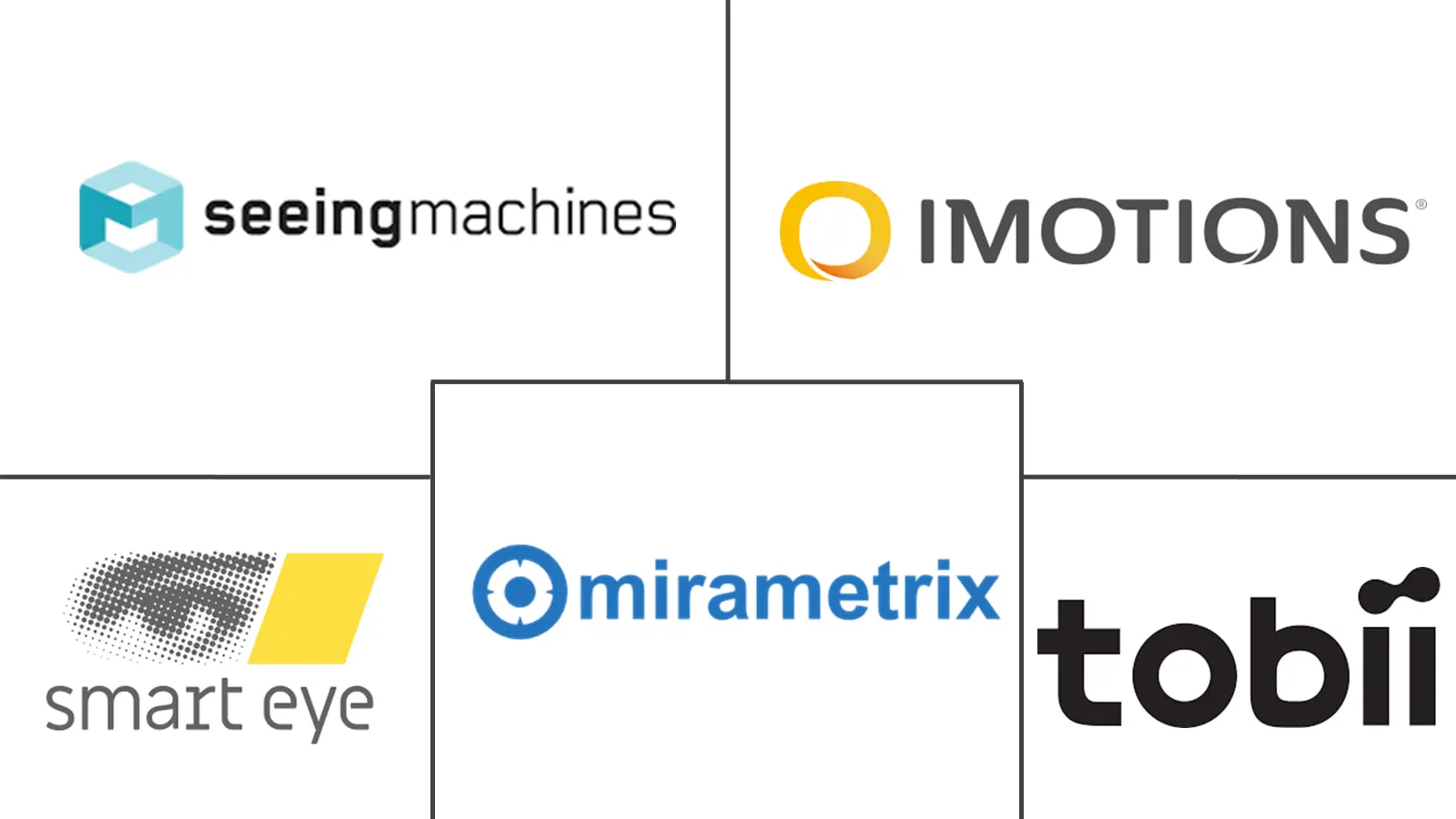  Europe Eye Tracking Solutions Market Major Players