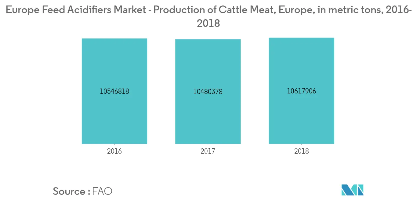 Europe Feed Acidifiers Market - Production of Cattle Meat, Europe, in metric tons, 2016-2018