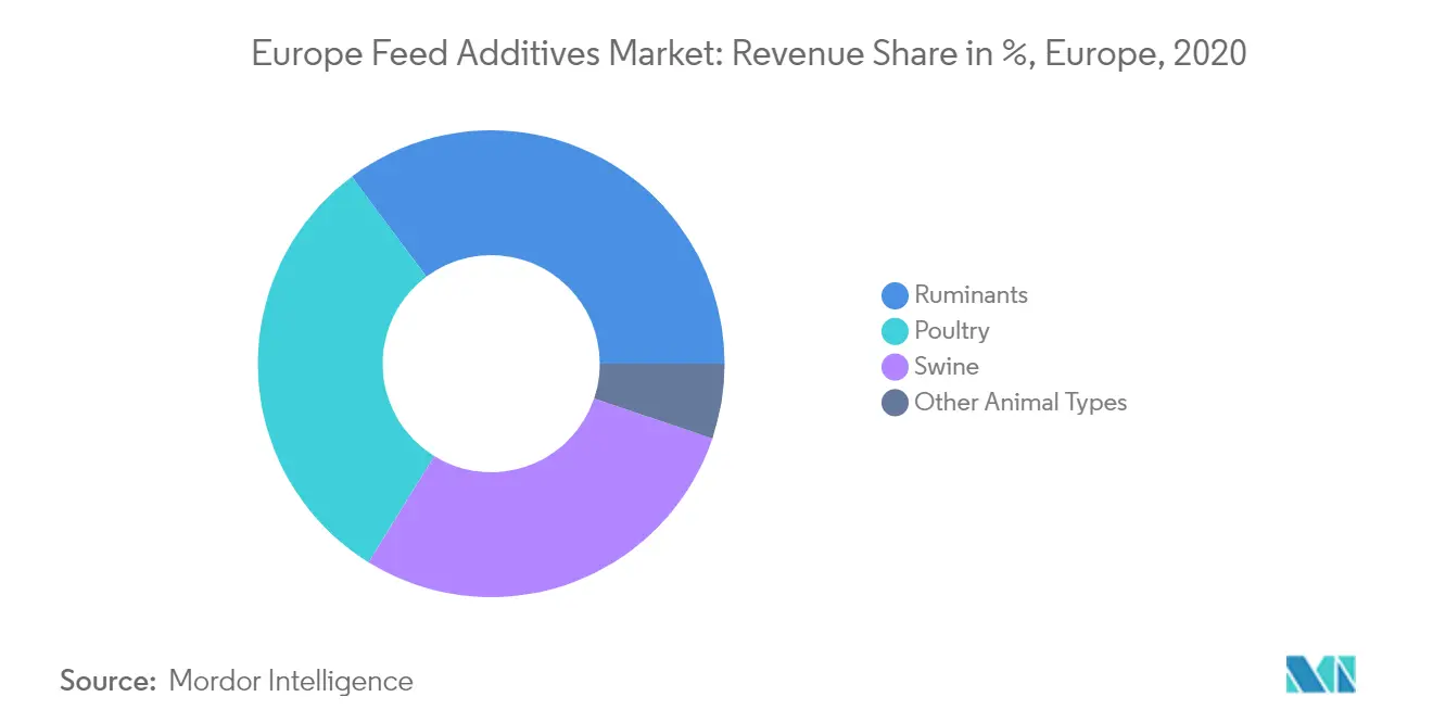Europe Feed Additives Market