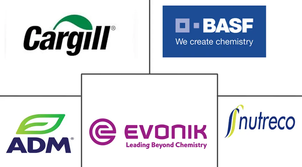 Major players in Europe Feed Additives industry