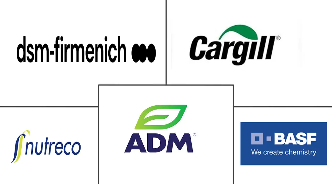 Major players in Europe Feed Premix industry