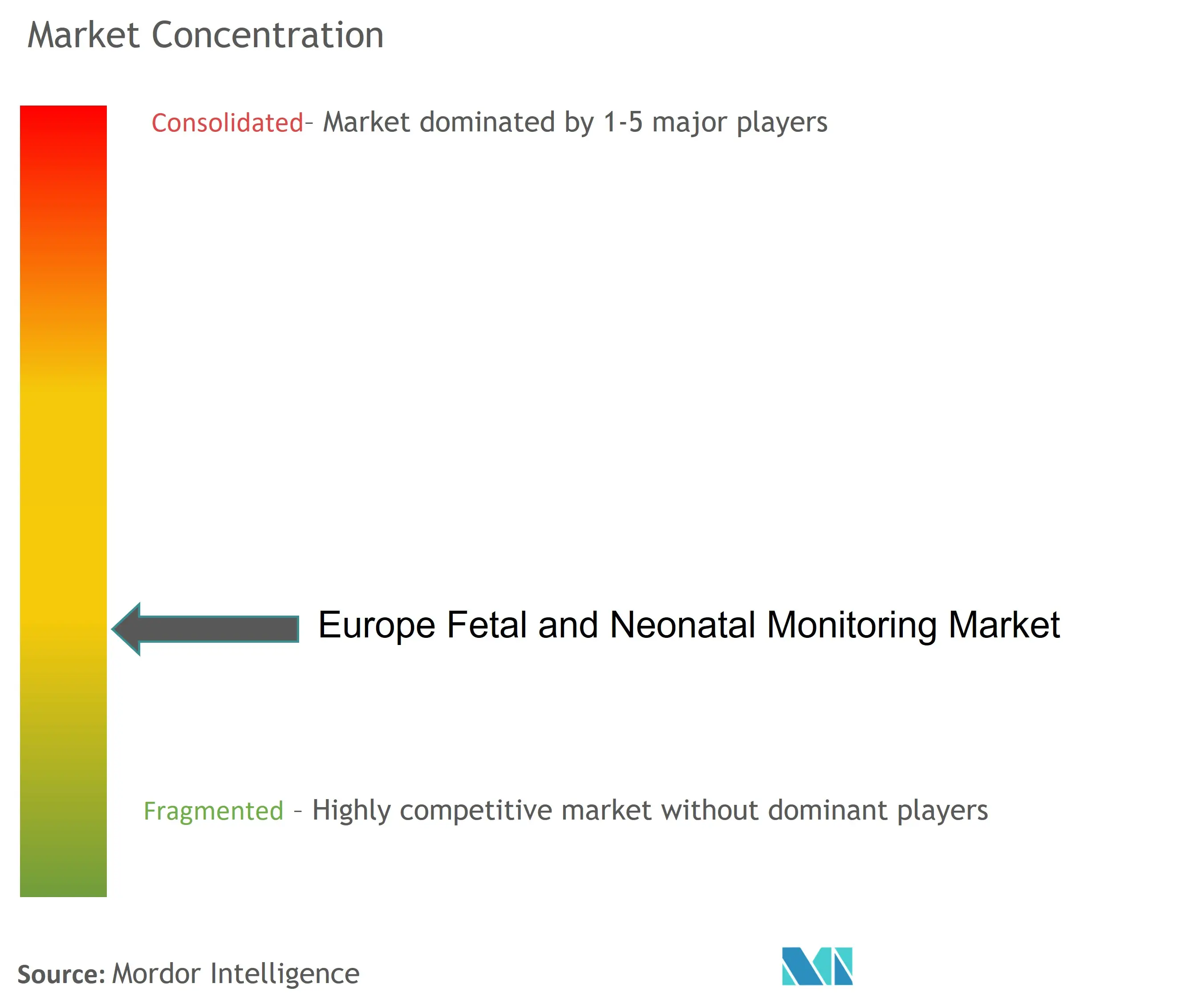 Europe Fetal and Neonatal Monitoring.jpg