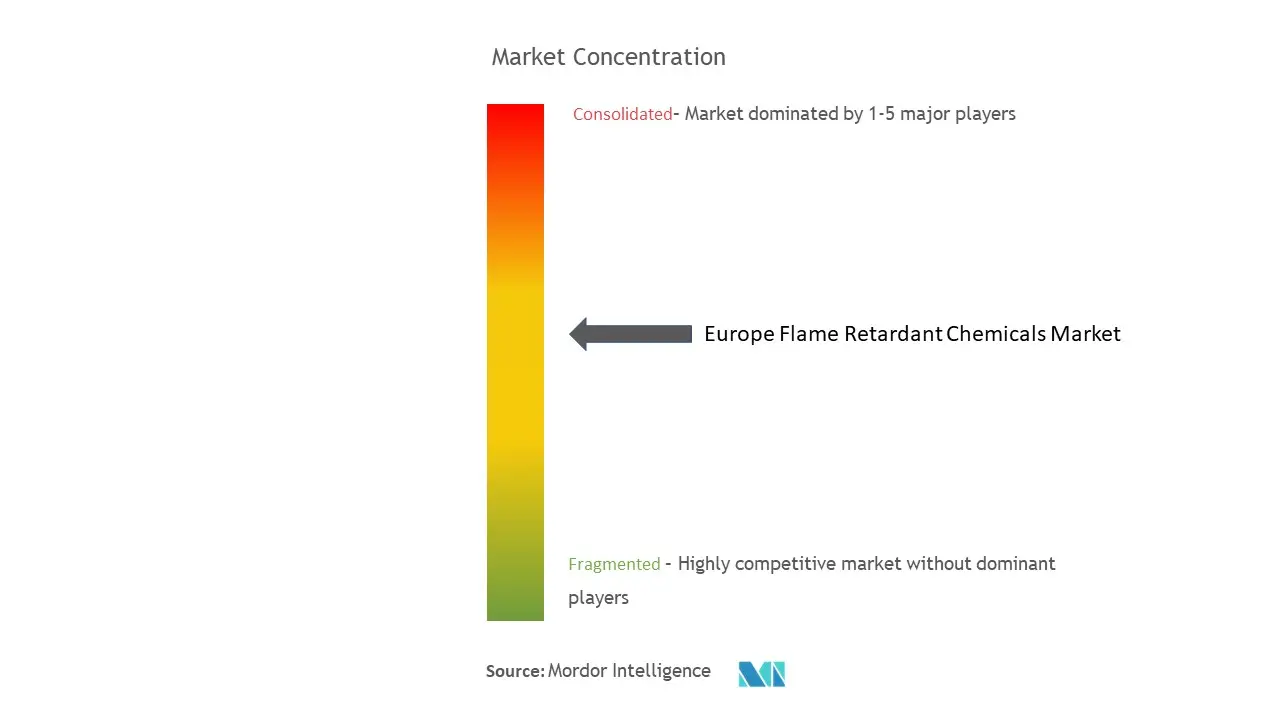 ヨーロッパの難燃性化学薬品市場集中度