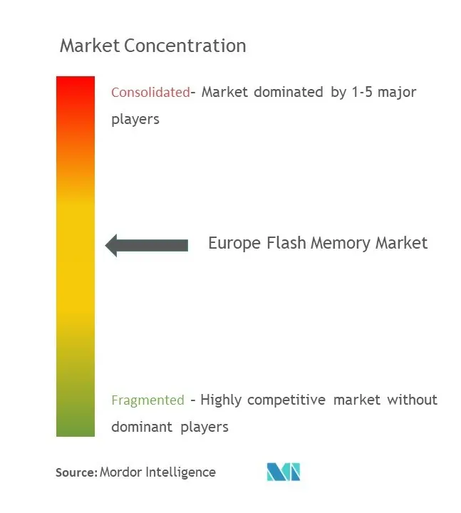 欧州フラッシュメモリー市場集中度