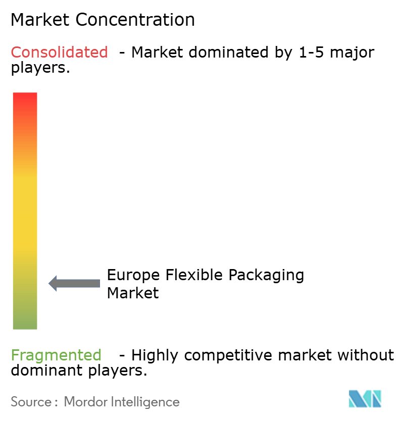 Europe Flexible Packaging Market Concentration