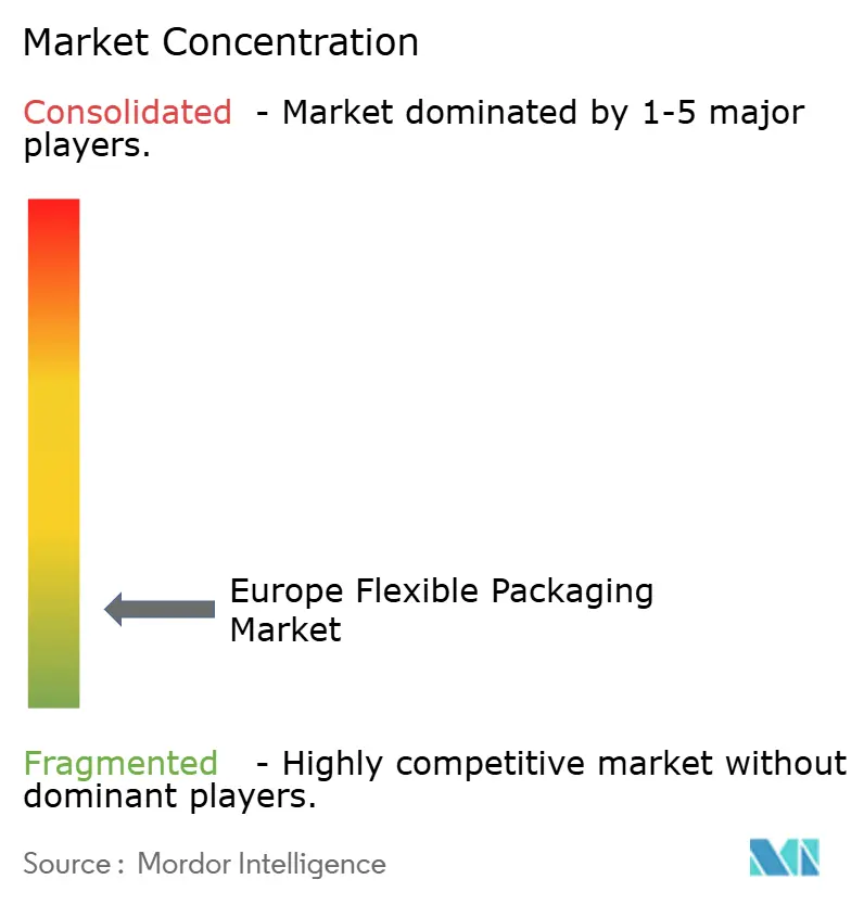 Europe Flexible Packaging Market Concentration