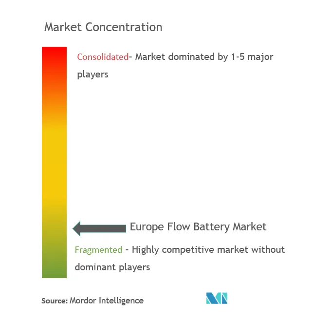 Europe Flow Battery Market Concentration