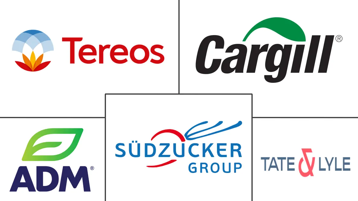 Major players in Europe Food Sweetener industry