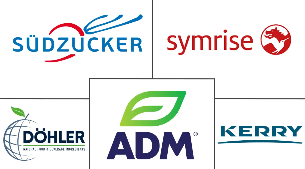 Major players in Europe Fruit And Vegetable Ingredients industry