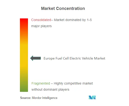 ヨーロッパの燃料電池電気自動車市場集中度
