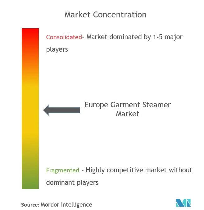 Europe Garment Steamers Market Concentration