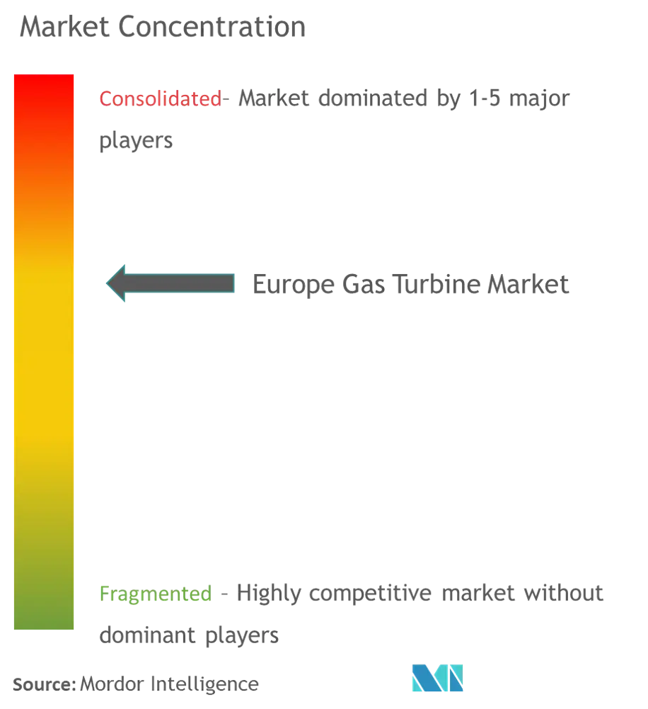 General Electric Company, Mitsubishi Hitachi Power Systems Ltd, Siemens AG, Kawasaki Heavy Industries Ltd und Solar Turbines Europe SA.