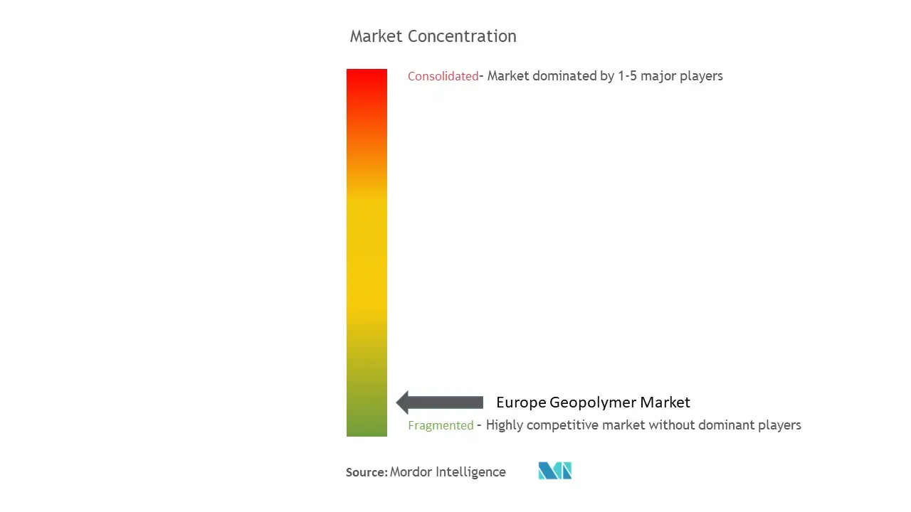 ヨーロッパ ジオポリマー市場集中度