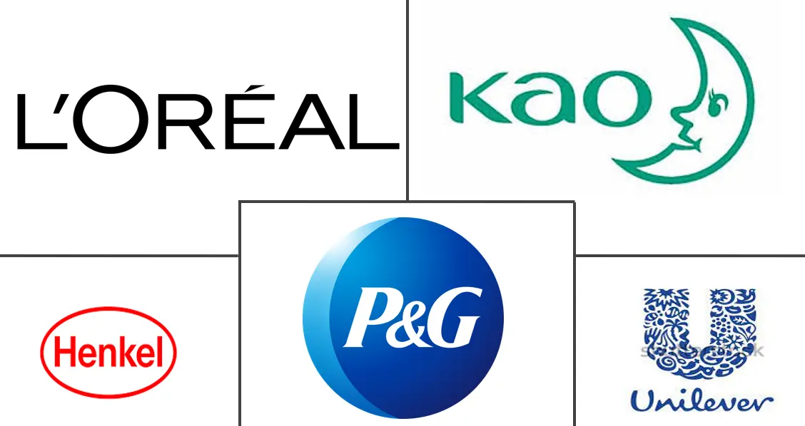  European Hair Care Market Major Players