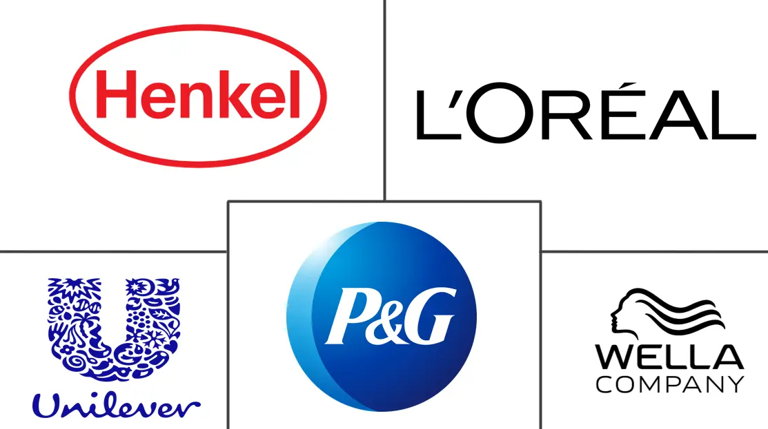 Major players in Europe Hair Care industry