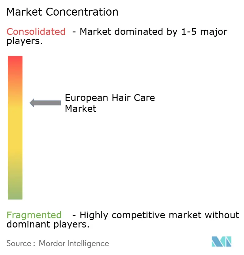 Europe Hair Care Market Concentration