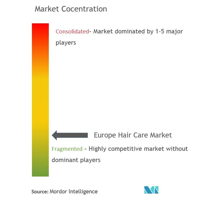 Europe Hair Care Market Concentration