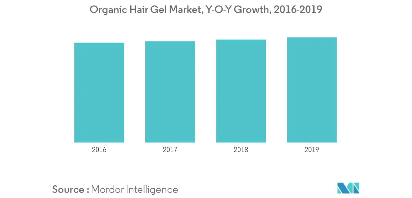 Europe Hair Styling Products Market Share